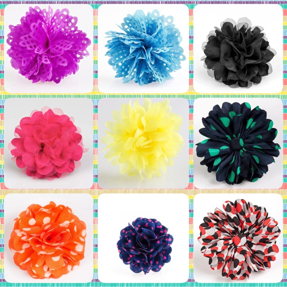 Paparazzi Hair Clips